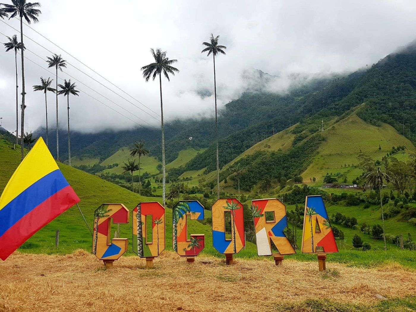 Colombia Cocora view palmtrees