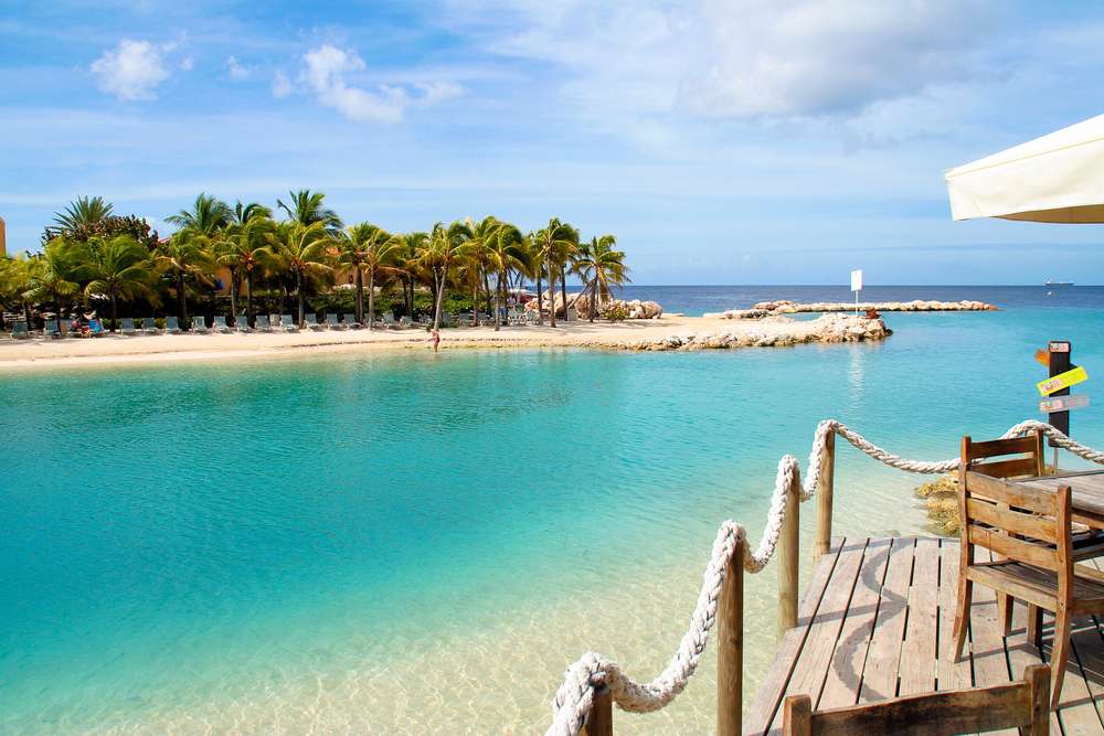 Curaçao zee palmbomen