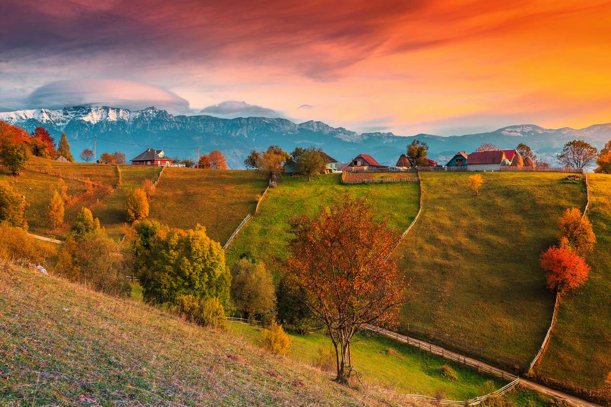 iStock 1021758276