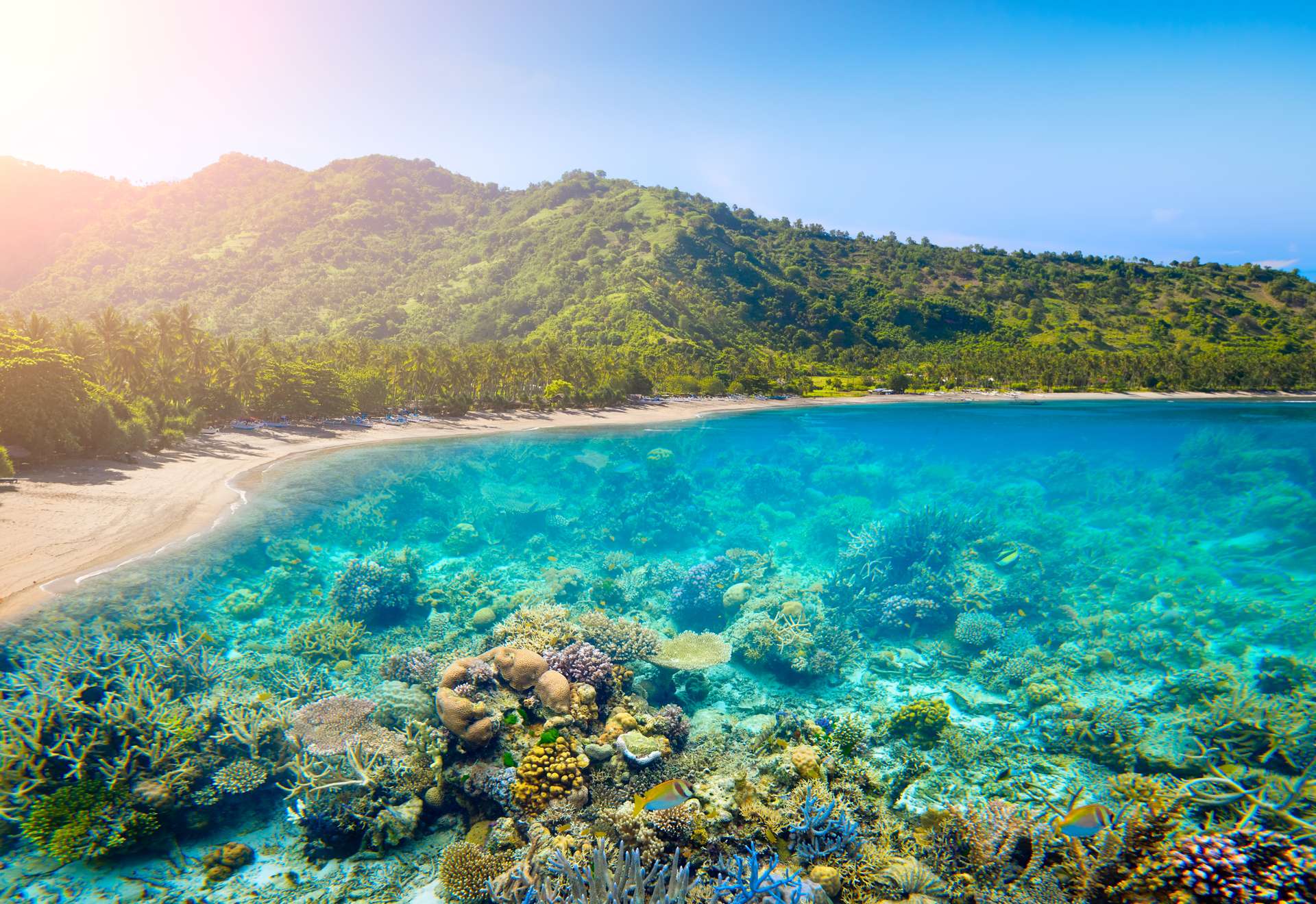 Indonesië Lombok