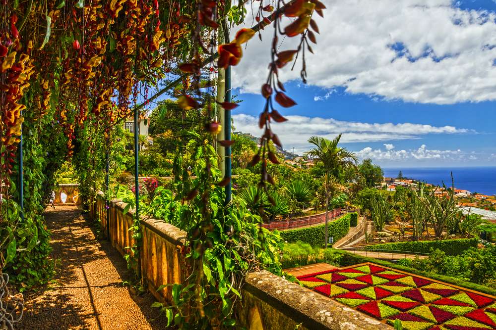 Portugal Madeira Funchal Botanical Garden Monte